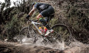 Ridley Mountainbike, Fietsen Eddy Timmers, Lommel